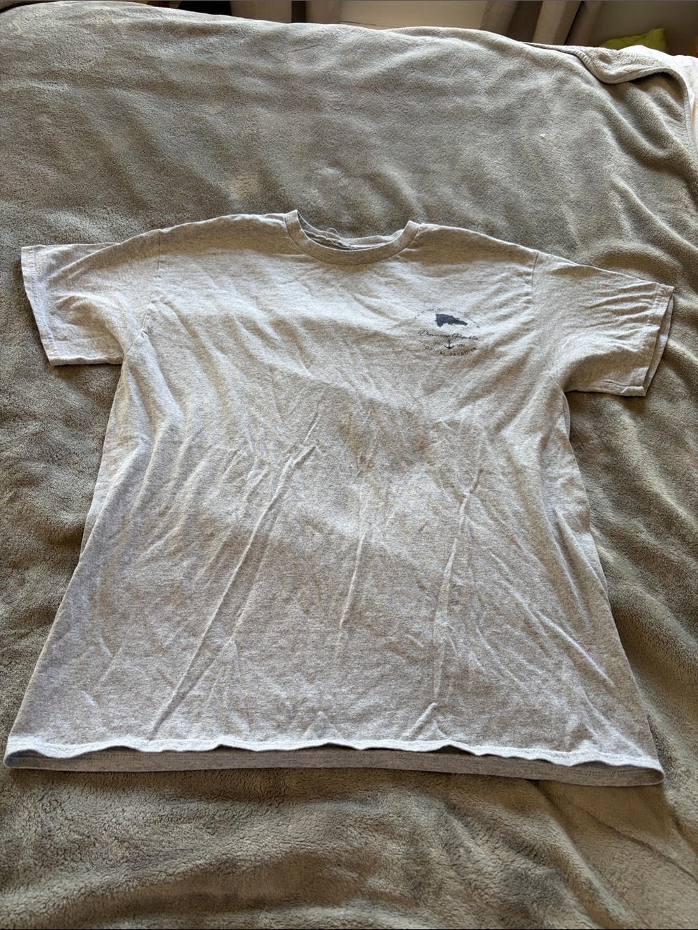 Men's Light Gray Graphic Crew Neck T-Shirt